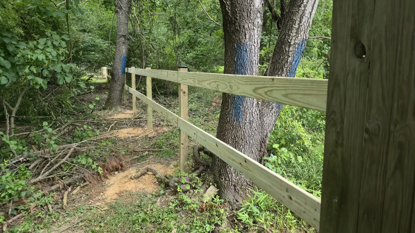 Pressure-treated two-board fence installed by Darling Builders on a wooded Maryland property